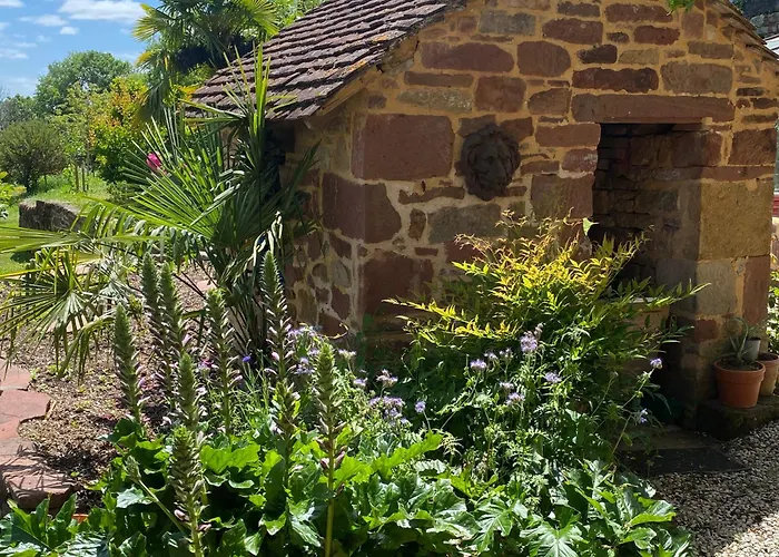 Le palmier d'Alice